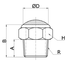 drawing of BSLV N04 | 1/2 NPT Brass Breather Silencer with Stainless Steel Wire Screen